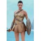 Wonder Woman Movie Masterpiece Action Figure 1/6 Wonder Woman Training Armor Version 29 cm